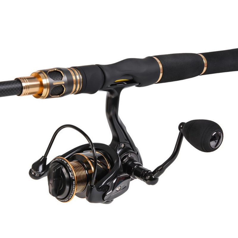 Fishing Gear: Reel and Rod